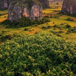 Viñales: tabaco y romance en el occidente cubano Aerial view of Viñales Valley in Cuba with distinctive mogotes limestone formations covered in lush
